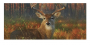 AUTUMN BUCK SWITCH MAT