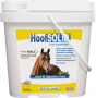 HOOF SOLID 10LB
