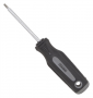 STAR SCREWDRIVER T10 3IN
