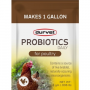 DAILY POULTRY PROBIOTICS