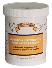 VITAMINS & ELECTROLYTES 8OZ