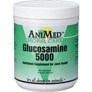 GLUCOSAMINE 5000 16OZ JAR