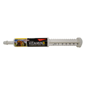 VITAMIN B COMPLEX ORAL GEL
