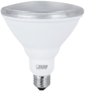 LED FLOOD BULB PAR38 5000K