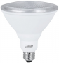 LED FLOOD BULB PAR38 5000K