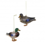 MALLARDS 2 ASST ORNAMENT