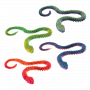 SNAKES SHIMMER CREATURES