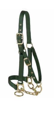 GREEN CALF HALTER W/CHAIN
