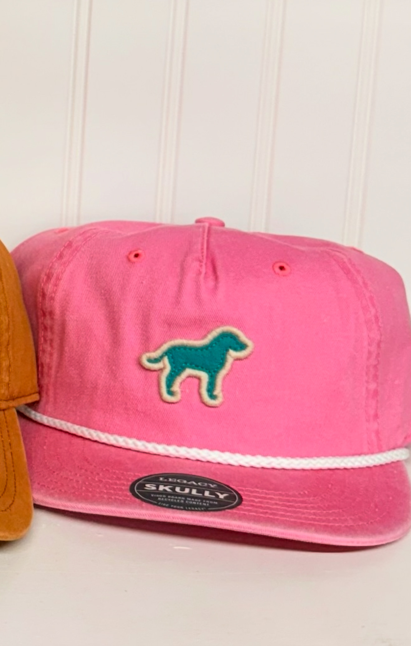 PINK TEAL HOUND HAT