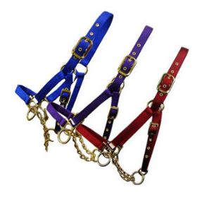 TURQUOISE YEARLING COW HALTER