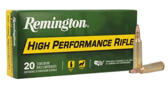 REMINGTON 22-250REM 55G 20RDS
