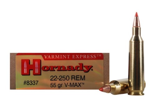 HORNADY VARMINT 22-250 55G 20RDS