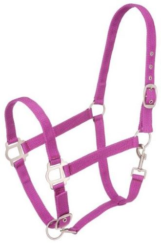 PURPLE NYLON HORSE HALTER