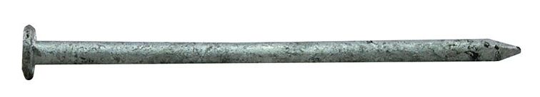 GALVANIZED STEEL COMMON NAIL 8D 2-1/2"
