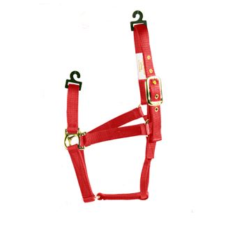 RED LARGE HORSE HALTER