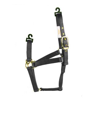 BLACK PONY HALTER