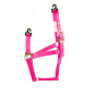 HOT PINK PONY HALTER