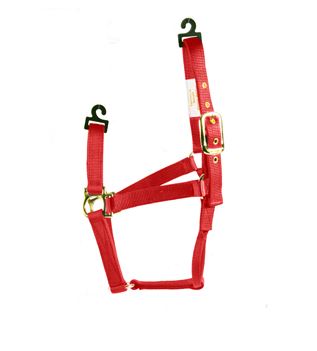 RED PONY HALTER