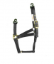 BLACK COLT HALTER