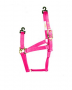 HOT PINK COLT HALTER
