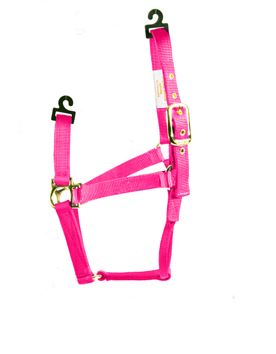 HOT PINK YEARLING HORSE HALTER