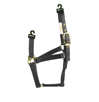 BLACK SMALL HORSE HALTER