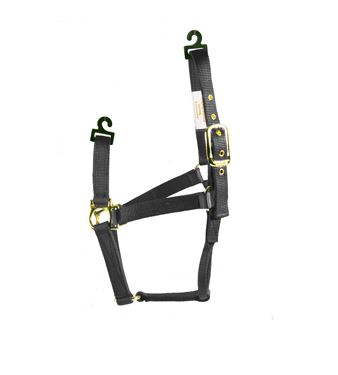 BLACK MEDIUM HORSE HALTER