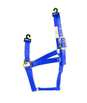 BLUE MEDIUM HORSE HALTER