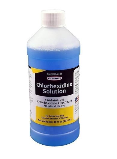 CHLORHEXIDINE SOL 2% 16OZ