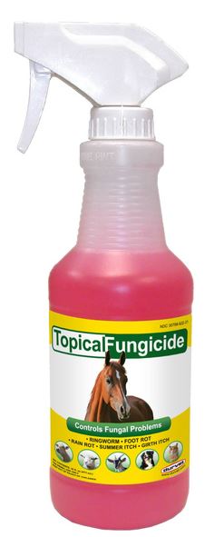 TOPICAL FUNGICIDE SPRAY 16OZ
