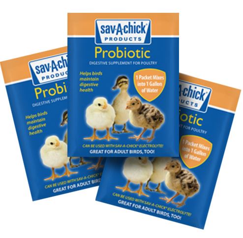 SAV-A-CHICK PROBIOTIC 3PACK