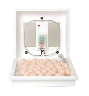 LITTLE GIANT EGG INCUBATOR 110V
