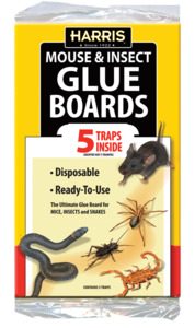HARRIS GLUE BOARD 5PACK
