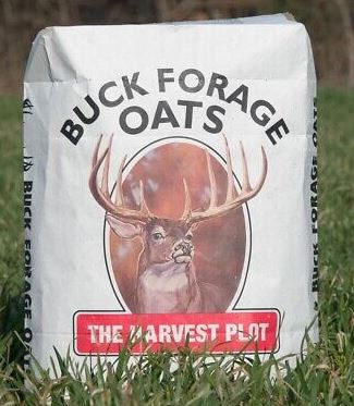 BUCK FORAGE HARVEST PLOT OATS