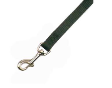 HOT PINK CHICKEN WALK LEASH 4'