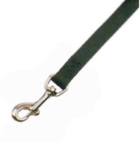 PURPLE CHICKEN WALK LEASH 4'