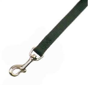 RED CHICKEN WALK LEASH 3/8"X4'