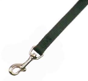 BLACK CHICKEN WALK LEASH 3/8"X6'