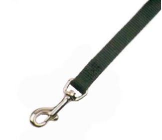 BLUE CHICKEN WALK LEASH 3/8"X6'