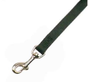 HOT PINK CHICKEN WALK LEASH 6'