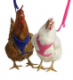 BLACK MESH PULLET HARNESS