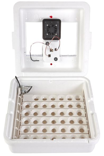 DELUXE INCUBATOR W/ EGG TURNER