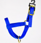HOT YELLOW KID HALTER