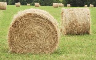 ROUND BALE OF HAY (HORSE)
