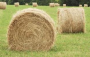 ROUND BALE OF HAY (HORSE)
