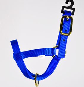 BLUE NANNY GOAT HALTER