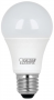 LED BULB A19 60W 3000K