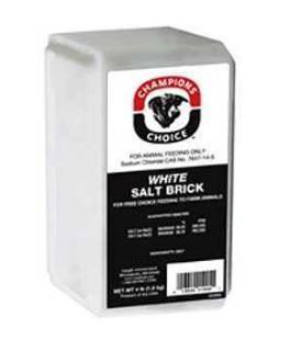 WHITE SALT BRICK 4LB