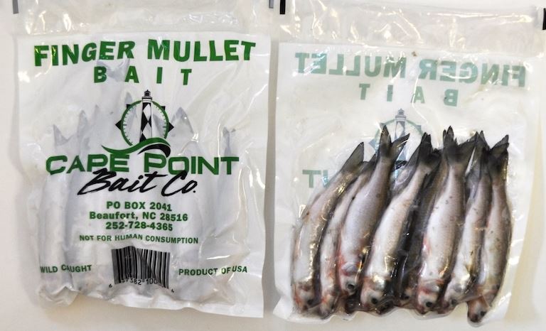 FINGER MULLET