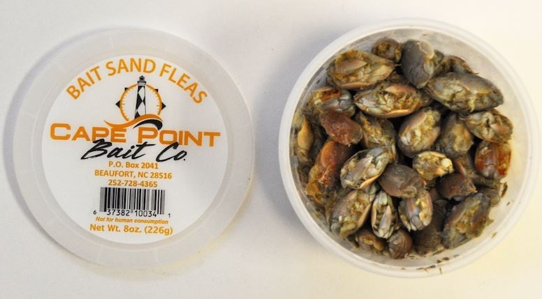 BLANCHED SANDFLEAS 30/1 CUP